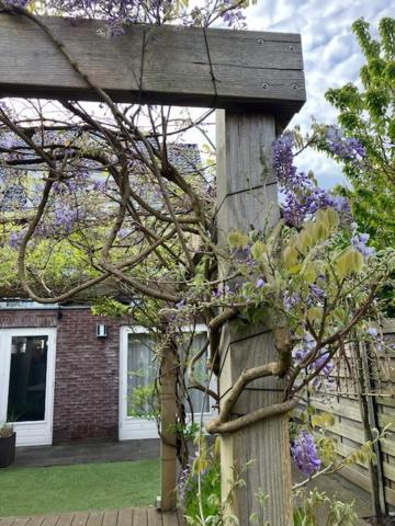 B&B Schiphol Amsterdam Rijsenhout Buitenkant foto